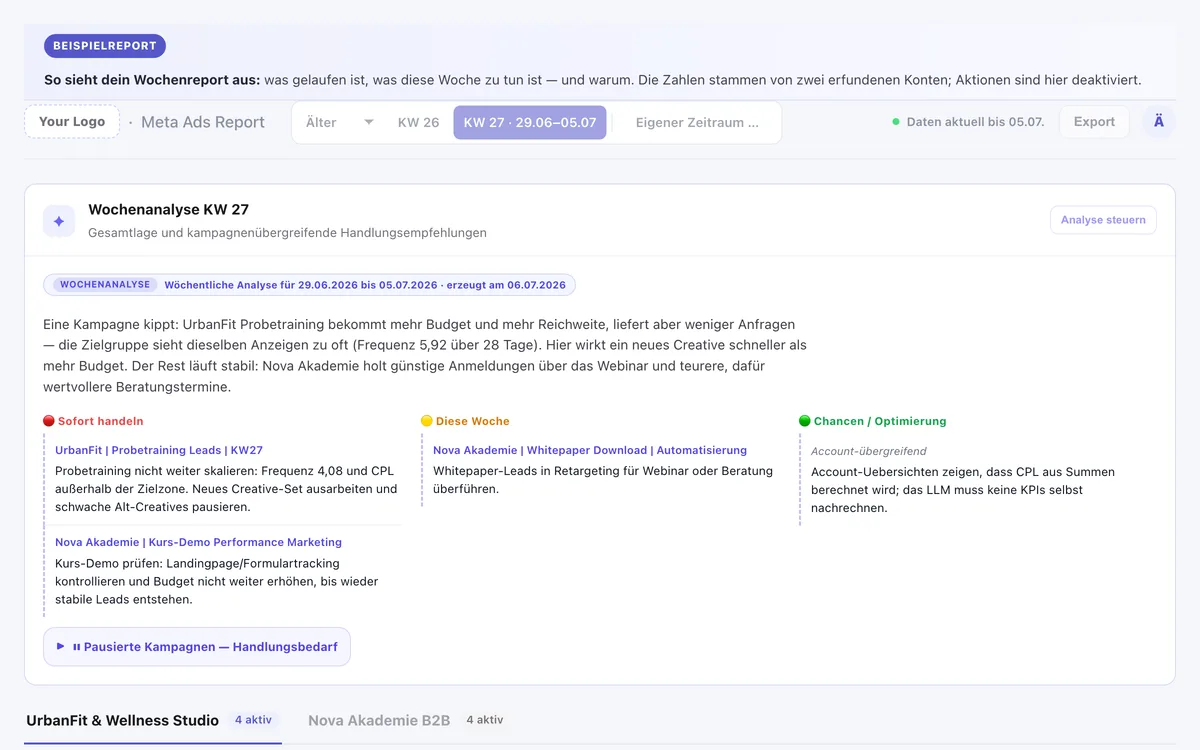 Ansicht von Meta Ads Report